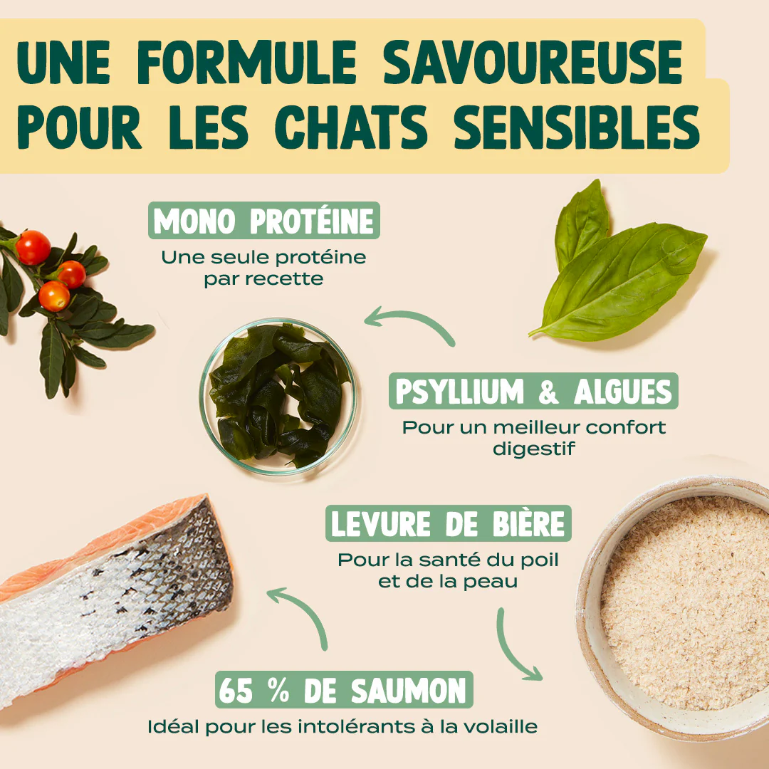 SAUMON, BASILIC - Image 3