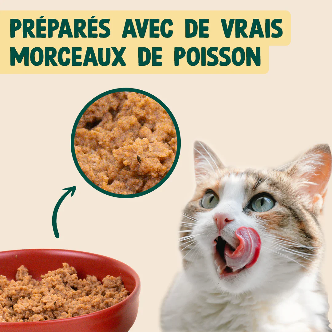 SAUMON, BASILIC - Image 5