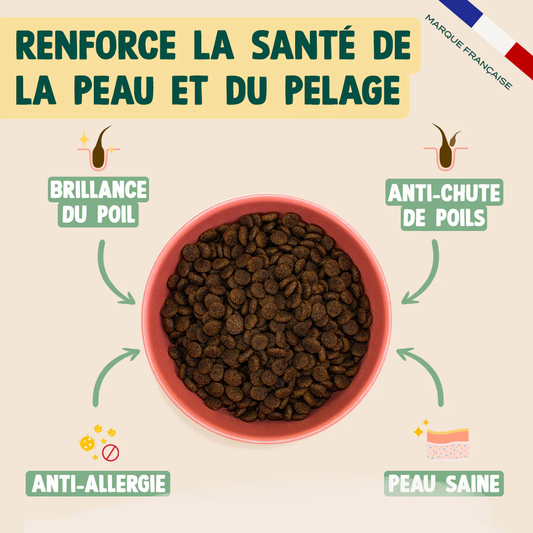 SAUMON, COURGE, CAMOMILLE - Image 3