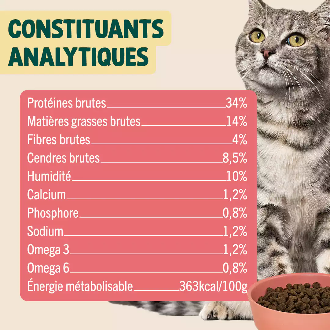 SAUMON, COURGE, CAMOMILLE - Image 5