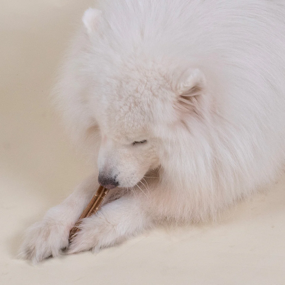 STICKS AU FROMAGE - Image 4