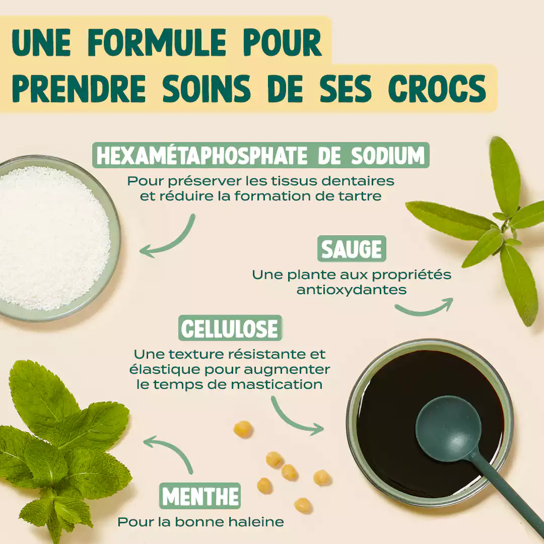 STICKS MENTHE, SAUGE - Image 3