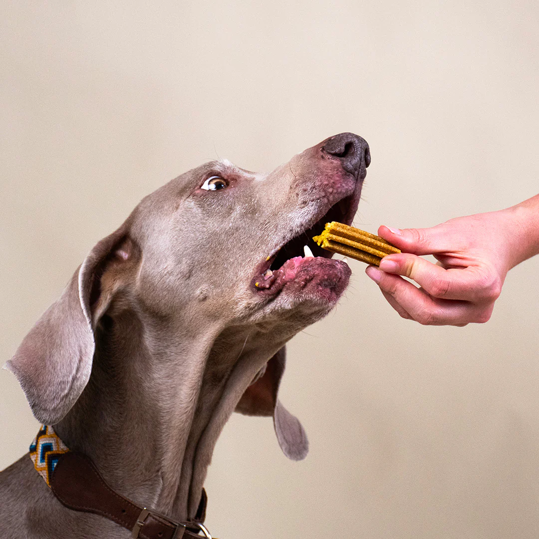 STICKS MENTHE, SAUGE - Image 4