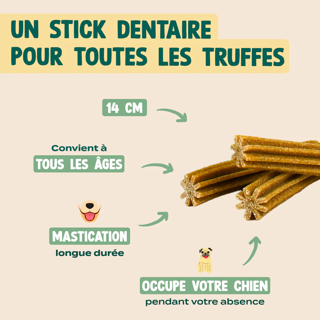 STICKS AU FROMAGE - Image 5