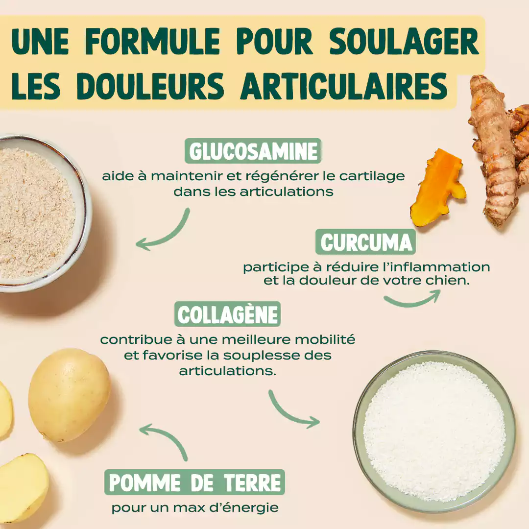 STICKS MOBILITÉ & ARTICULATIONS - Image 3