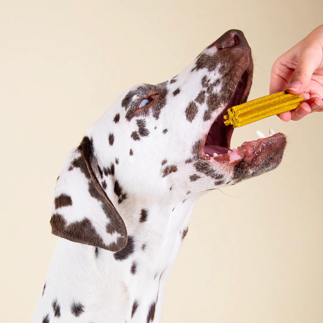 STICKS MOBILITÉ & ARTICULATIONS - Image 5