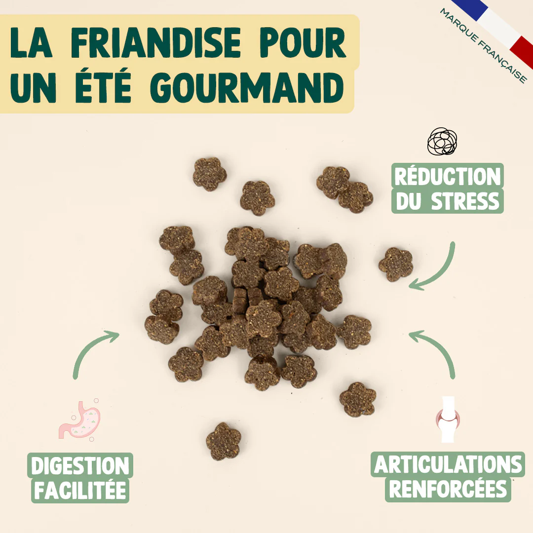 SUMMER SNACK DINDE, VALÉRIANE - Image 3