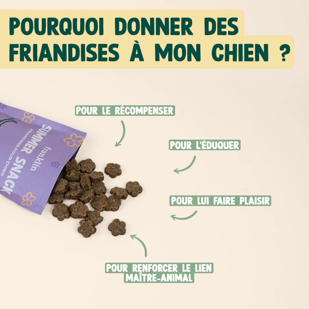 SUMMER SNACK DINDE, VALÉRIANE - Image 5