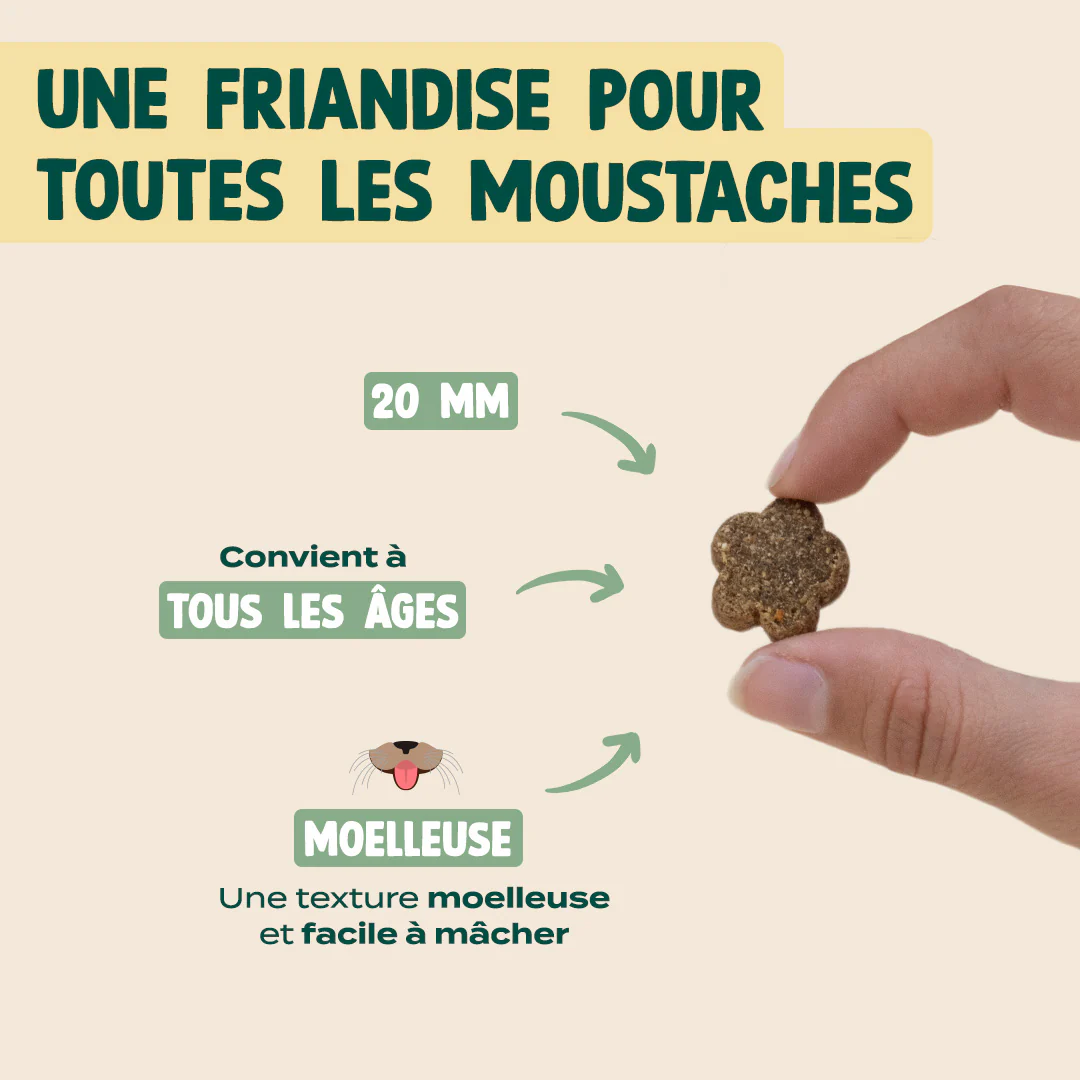 SUMMER SNACK DINDE, VALÉRIANE - Image 6