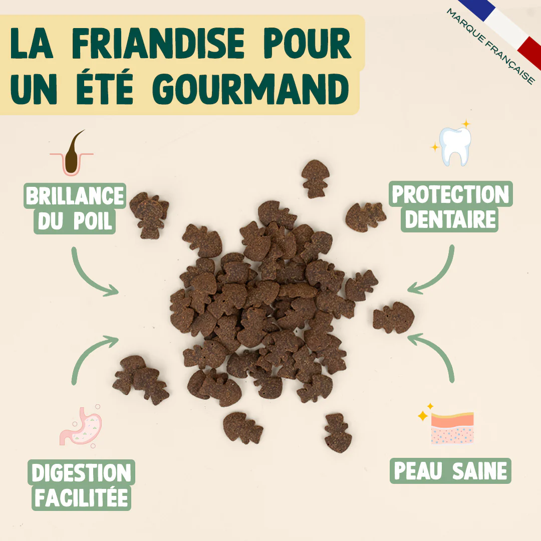 SUMMER SNACK HARENG, ROMARIN - Image 3