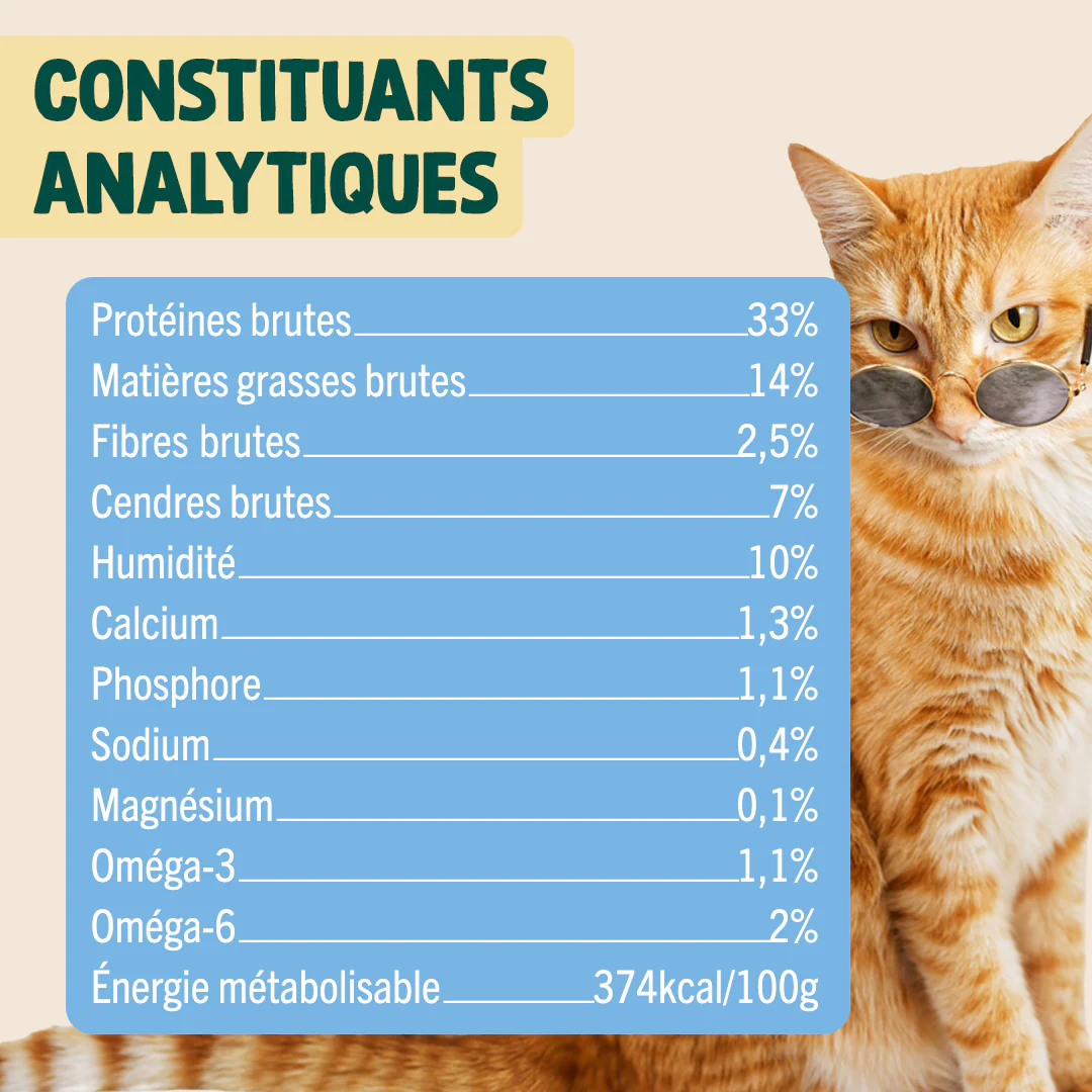 SUMMER SNACK HARENG, ROMARIN - Image 4