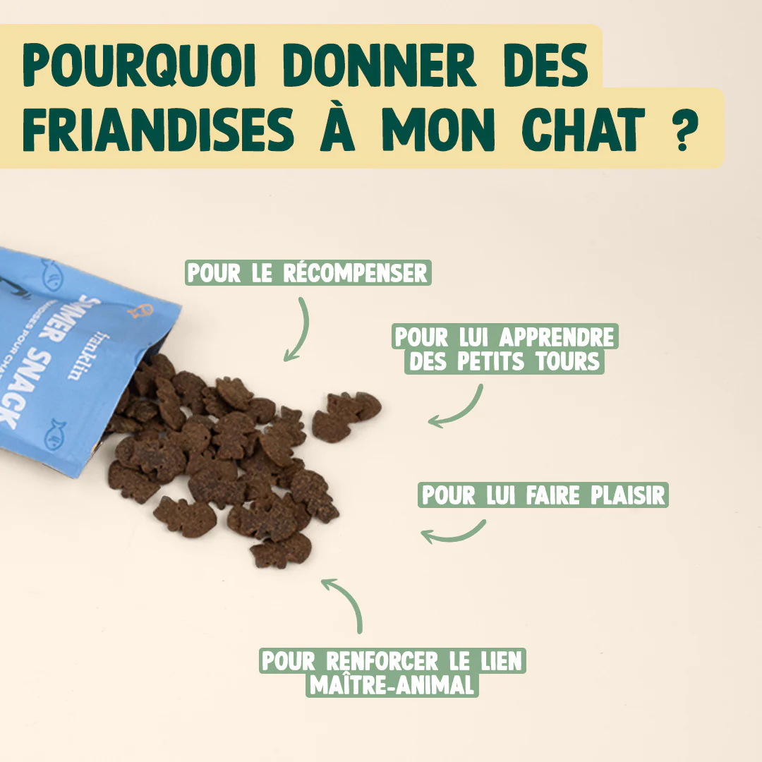 SUMMER SNACK HARENG, ROMARIN - Image 5