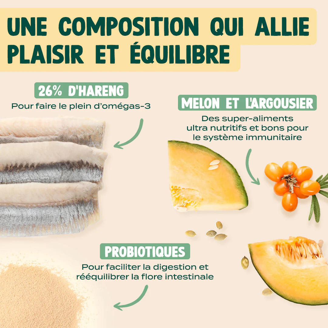 SUPER SNACK HARENG, POTIRON - Image 3