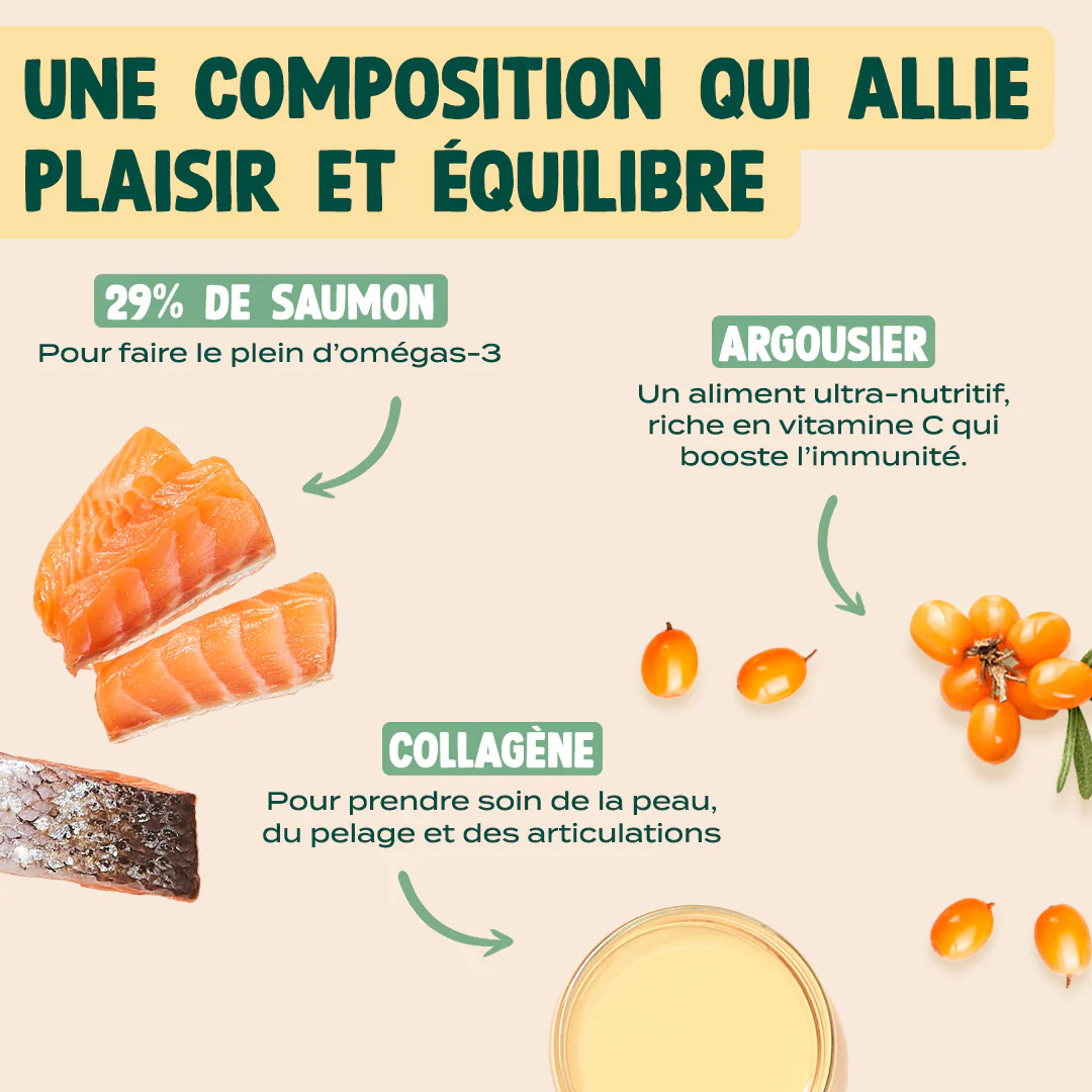 SUPER SNACK SAUMON, COLLAGÈNE - Image 3