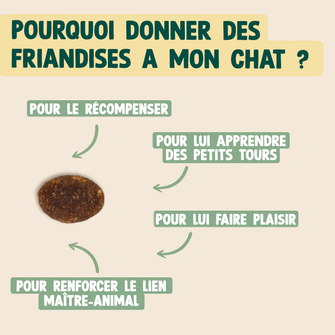 SUPER SNACK SAUMON, COLLAGÈNE - Image 5