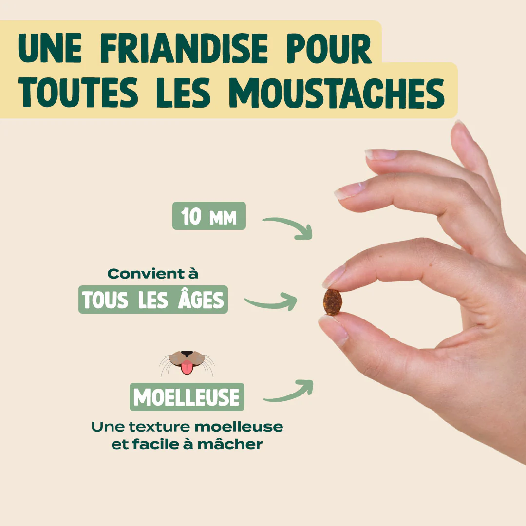 SUPER SNACK SAUMON, COLLAGÈNE - Image 6